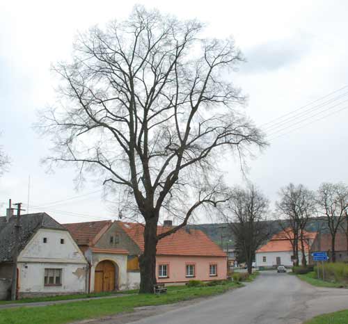 Foto -peg- Foto