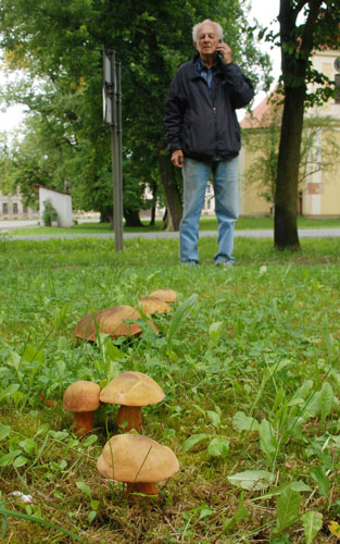 Foto -peg- Foto